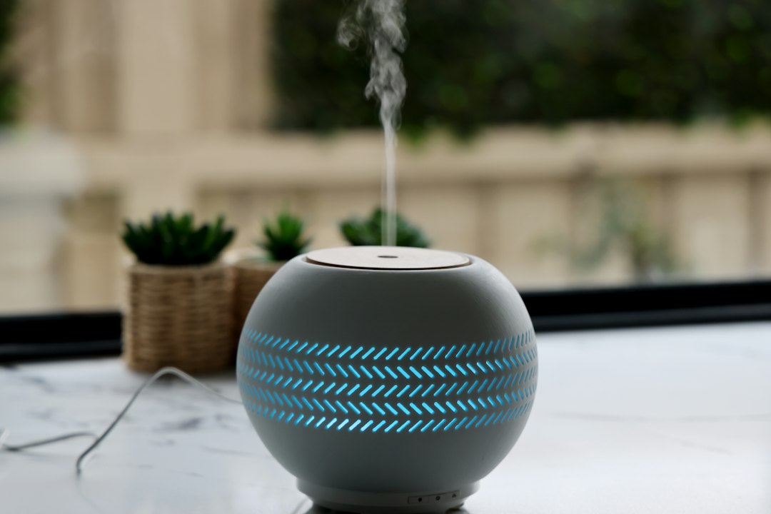Essential Oil Diffusers Cool Mist: Home Buying Guide